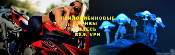 дурь Михайловка