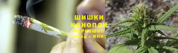 apvp Медногорск