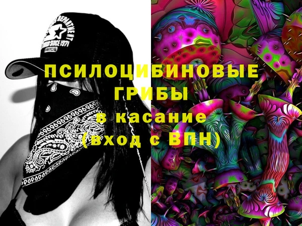 дурь Михайловка