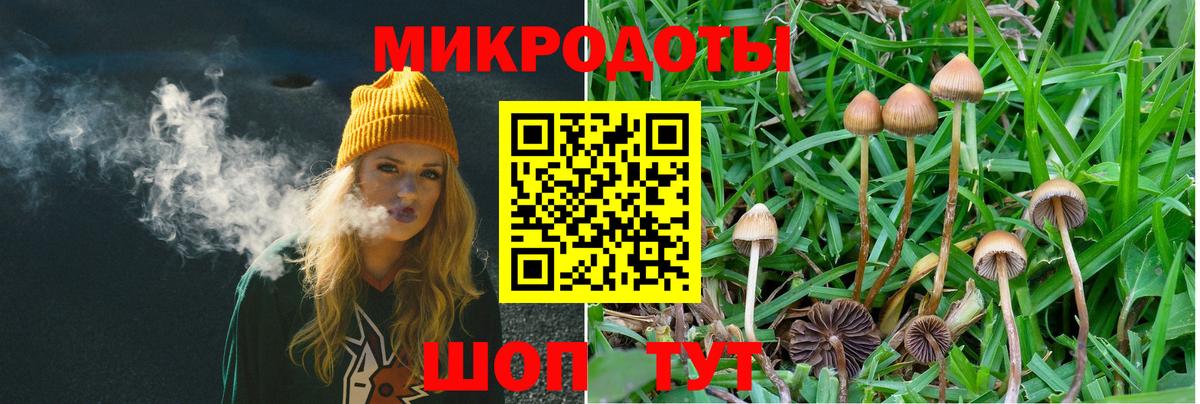Псилоцибиновые грибы мицелий Смоленск