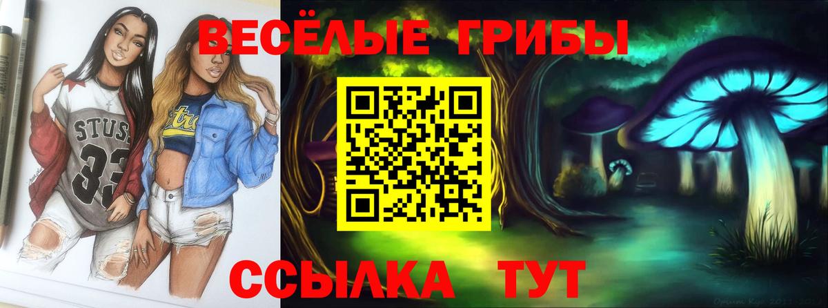 Смоленск  Галлюциногенные грибы Psilocybe  Вход с VPN 